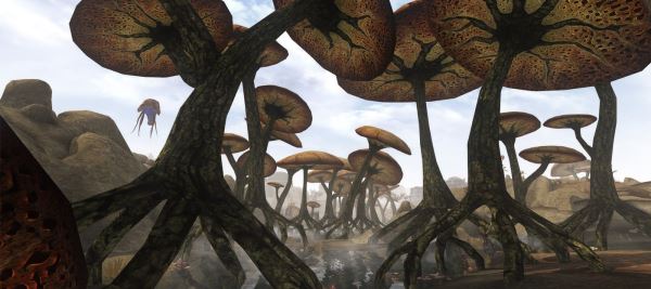 The Elder Scrolls III: Morrowind