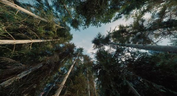 Unreal Engine 5